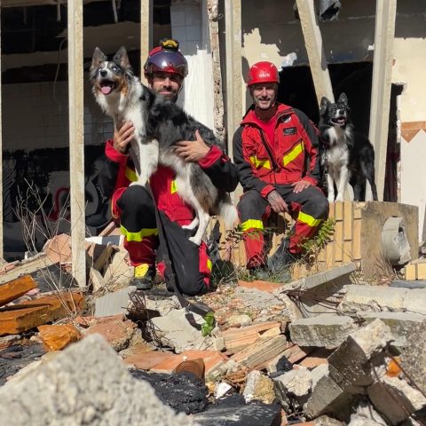 Entreno Unidad Canina.