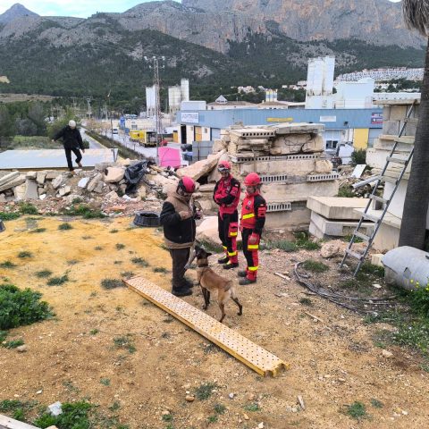 Evaluaci&oacute;n operatividad binomios K9 Bomberos GIRECAN