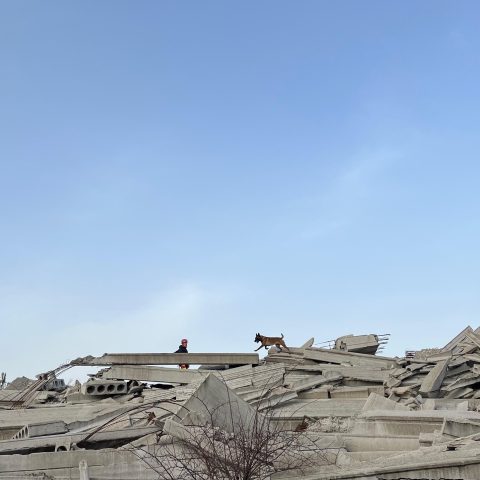 Entrenamiento de binomios K9 para b&uacute;squeda t&eacute;cnica en estructuras colapsadas